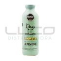 Limonada con Jengibre - LAS BRISAS - x 500 ml.